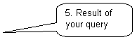 Rounded Rectangular Callout: 5. Result of your query