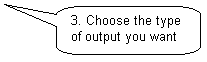 Rounded Rectangular Callout: 3. Choose the type of output you want