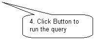 Rounded Rectangular Callout: 4. Click Button to run the query
