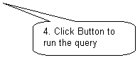 Rounded Rectangular Callout: 4. Click Button to run the query